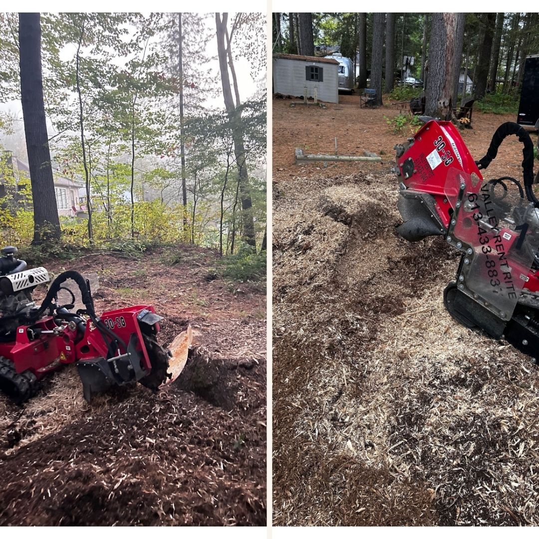 A front yard transformed into a beautiful garden