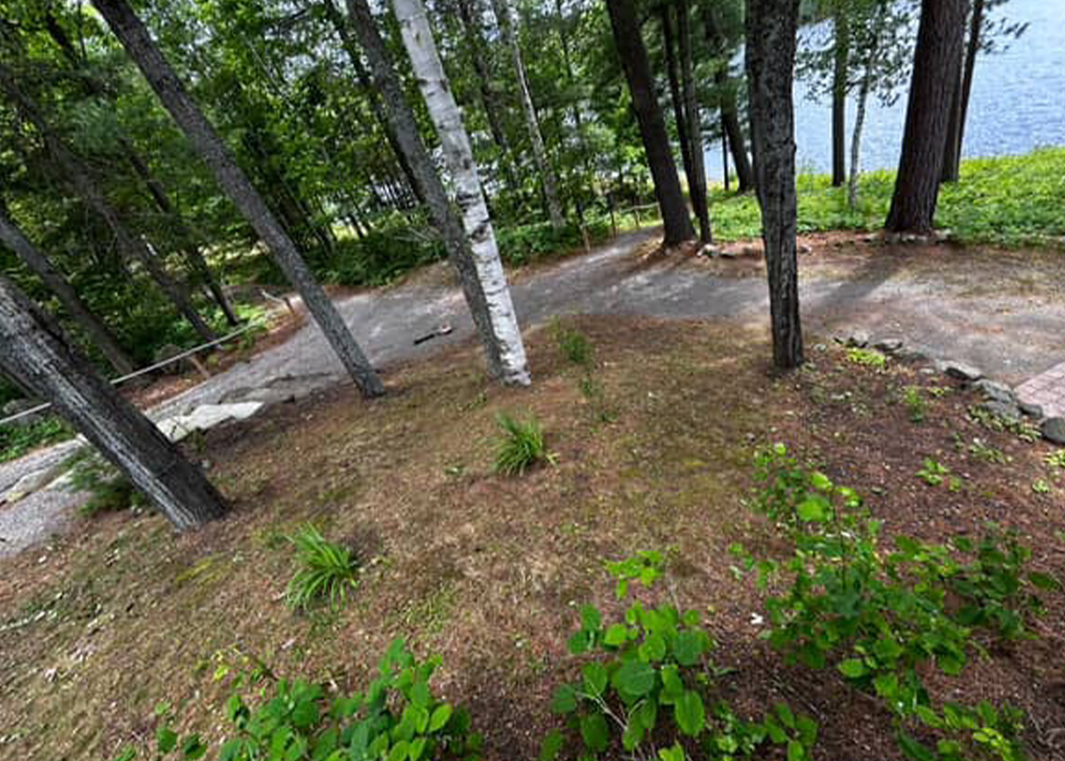 A tall guy wiper-snipping grass
